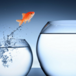 The purpose of goals and being flexible